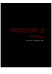 同策_江苏无锡太湖新城商务金融地块项目营销执行策划报告_111页