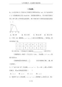 九年级数学二次函数专题训练