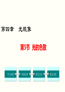 新人教版八年级物理第四章光现象第五节光的色散