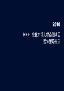 安化东坪大桥南侧购物中心项目整体策略报告_96p_营销推