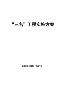 三名工程实施方案