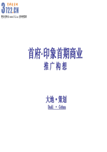 地产首府印象项目首期商业营销策划方案