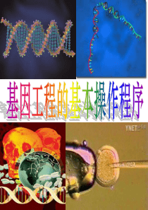 三少__12基因工程的基本操作步骤