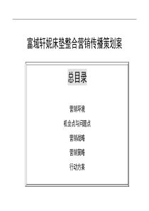 大自然全山棕床垫整合营销传播策划案