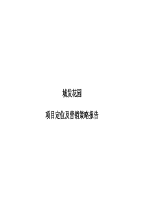 山东东营城发花园项目定位及营销策略报告全147P