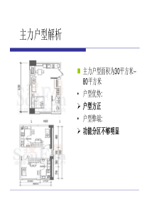 大连开发区某项目营销策划提案(下)