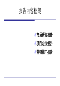 大连开发区某项目营销策划提案（上）