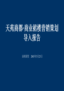 天苑商都·商业裙楼营销策划导入报告