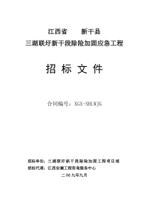 三湖联圩新干段除险加固应急工程