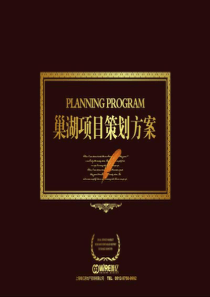 安徽巢湖紫金华府项目营销策划方案116PPT2010年