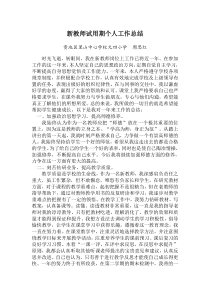 新教师试用期个人工作总结