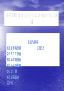 山东xx公司眼药水产品在西安地区营销策划(ppt 25)