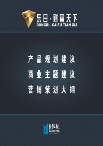 广西南宁横县东日财富天下项目商业规划及营销策略总纲_79页