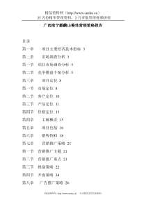 广西南宁麒麟山整体营销策略报告(doc28页)