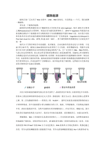 磁珠纯化DNA的原理