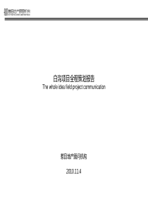 惹目顾问_河北保定白沟项目全程营销策划思路沟通_58页_XXXX年