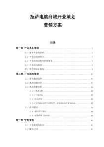 拉萨电脑城开业营销策划方案)