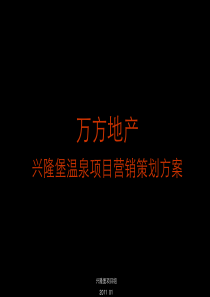 房地产项目年度营销策划方案