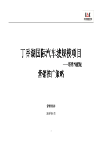 沈阳丁香湖国际汽车城塔湾汽配城营销推广策略_63页_XXXX年