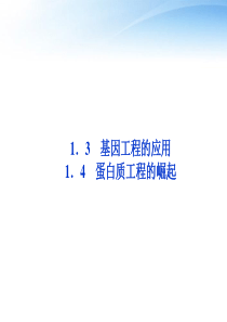 专题1 13和14蛋白质工程的崛起课件 新人教版选修3