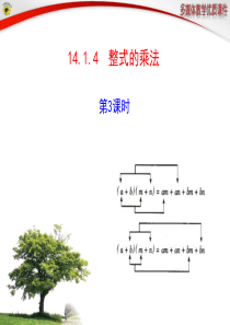 人教版14.1.4--整式的乘法-第3课时