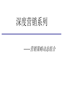 深度营销系列-营销策略动态组合