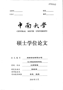 湖南移动有限公司3G营销策略研究