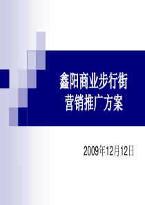 步行街营销推广方案商业地产策划