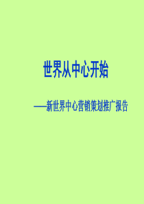 武汉新世界中心商业项目营销策划推广报告