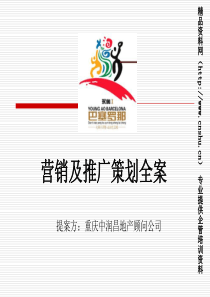 永奥国际新城项目营销及推广策划全案