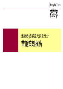 江苏连云港港城蓝天项目市场定位营销策划报告_75页