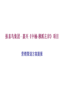 浙江嘉兴中楠穆溪左岸项目营销策划方案提报