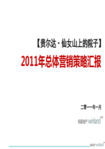 纬联地产XXXX年重庆贵尔达·仙女山上的院子总体营销策略