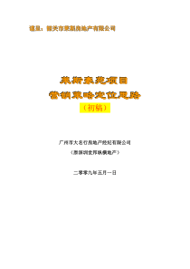 莱斯项目营销策略定位思路