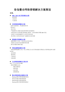 珍岛整合网络营销解决方案策划