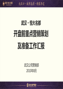 武汉恒大名都开盘前重点营销策划及准备工作汇报_178PPT_XXXX年