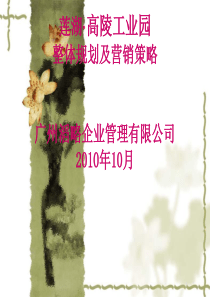 陕西西安莲湖高陵工业园整体规划及营销策略_55页_XXXX年