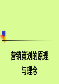 营销策划的原理与理念（PPT 29）