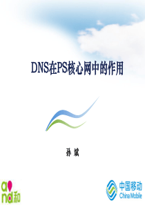 DNS在PS核心网中的作用