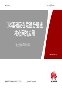 1.DNS基础及在联通分组域核心网的应用-V1.0