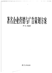 著名企业营销与广告策划方案