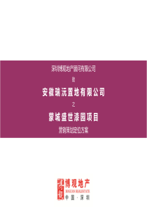 蒙城盛世漆园项目营销策划方案