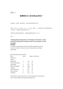 您需要多少人来支持SAP项目？1