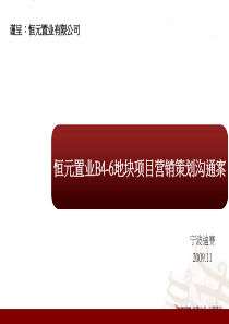 迪赛X年宁波恒元置业B4-6地块项目营销策划沟通案