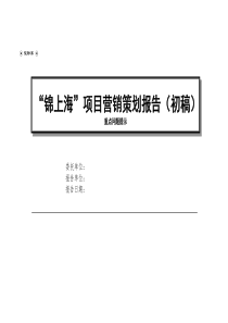 锦上海项目营销策划报告