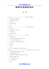 重庆赛博项目营销策划报告