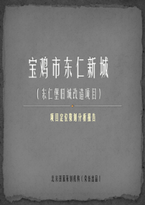 陕西宝鸡东仁新城改造项目定位营销策划报告_130页