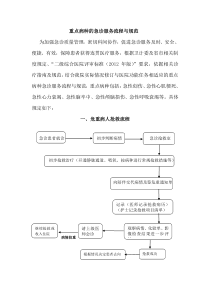 重点病种急诊服务流程与规范(完整规范)