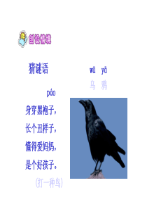 部编版小学语文一年级上册《乌鸦喝水》