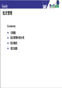 批次管理_SAP（PDF31页）